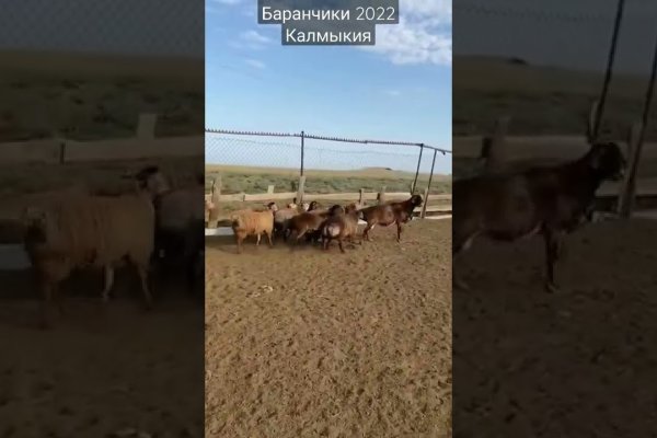 Как зайти на кракен с телефона