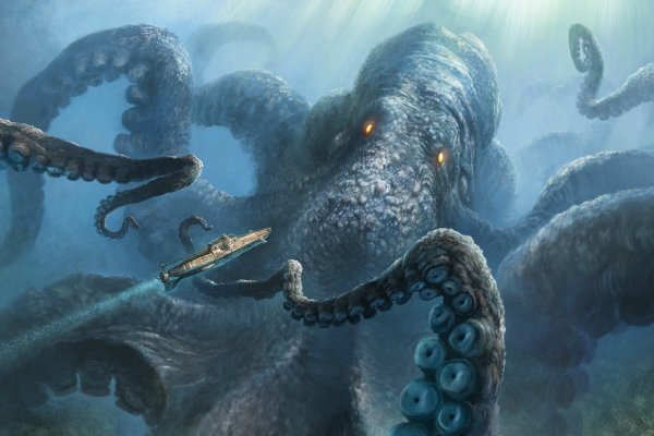 Kraken kraken link24 info