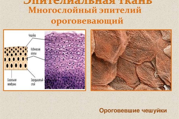 Оригинальный сайт кракен