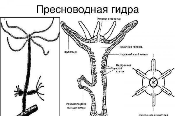 Как зайти на кракен в тор браузере