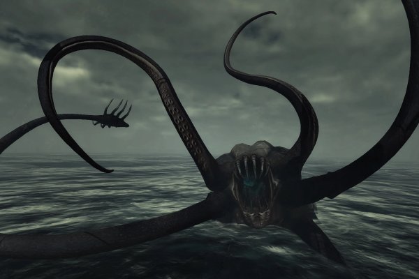 Kraken cc